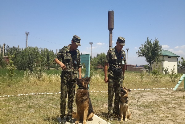 Сурхондарёда кинологлар фаолияти кўздан кечирилди