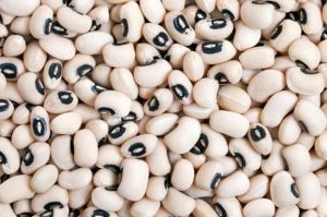 Digit of the day: Uzbekistan exported $ 8 million worth of beans