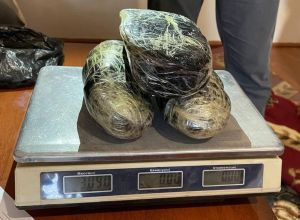 Customs officers seized more than 4 kg of 