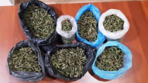 The sale of more than 1 kilogram of marijuana has been prevented