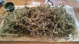 7.2 kg of marijuana was found in a house