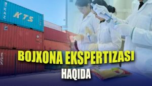 Bojxona ekspertizasi – tadbirkorlikni qoʻllab-quvvatlashning  yangi bosqichida