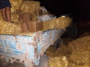 Customs officers have revealed 2.7 billion soums worth of drugs hidden under straw bales in tractor trailers